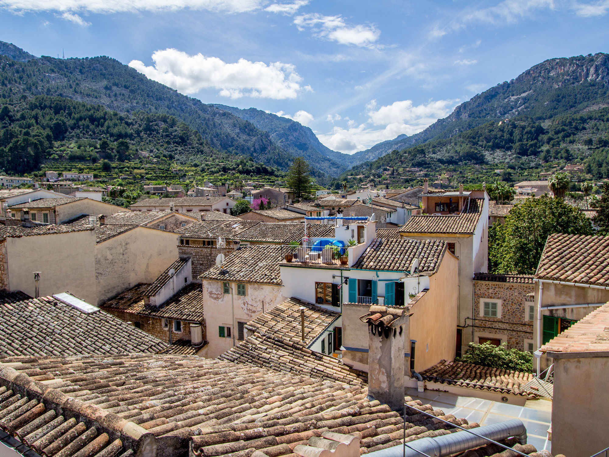 Abril Soller